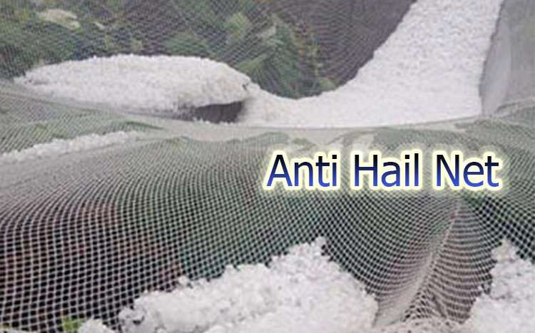 The Function of Anti Hail Net