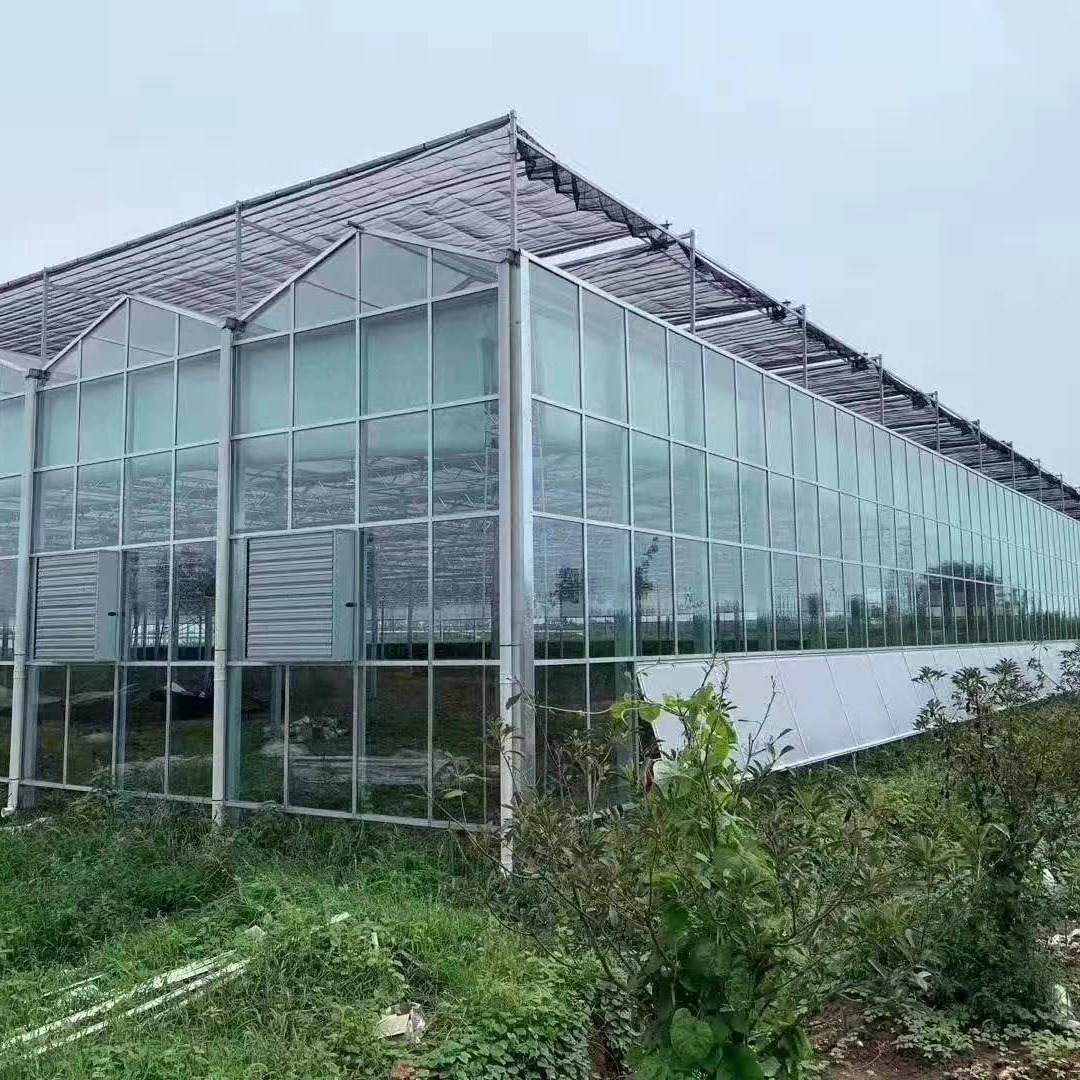 The Function and Application of Greenhouse Sunshade Net