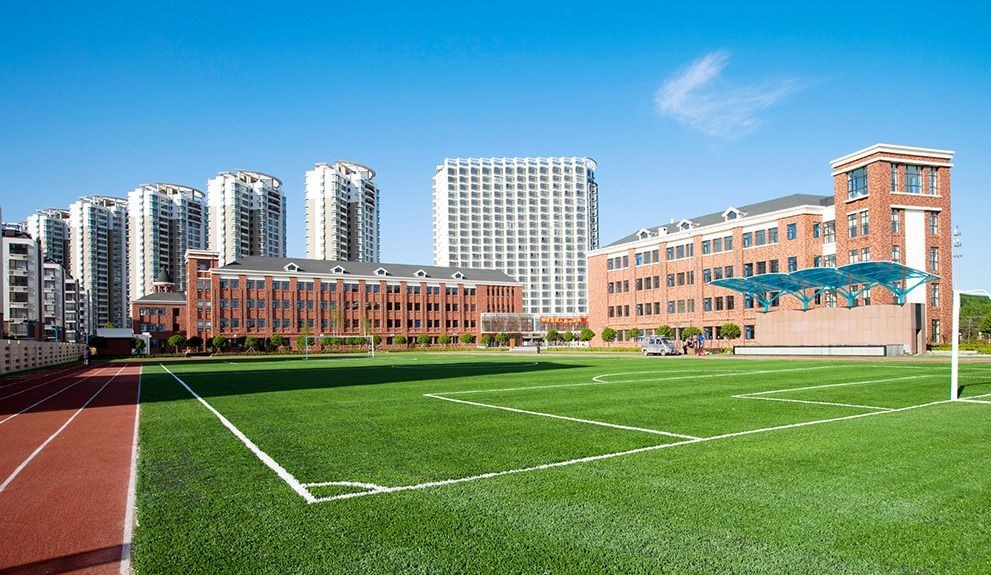 Why is artificial turf becoming more and more popular in sports fields?