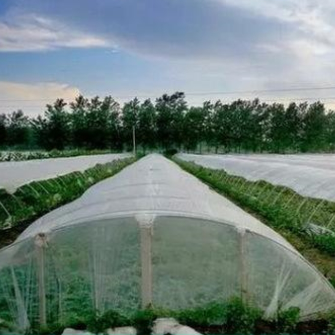 The poroblem that should pay attention to when installing insect-proof net