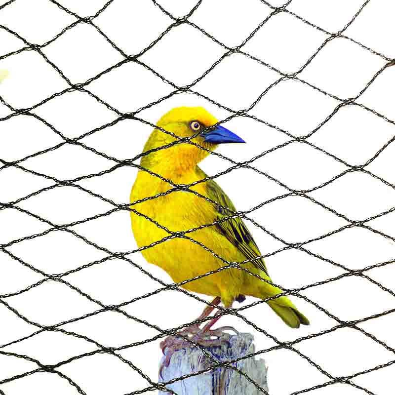 What colors are suitable for anti bird nets?