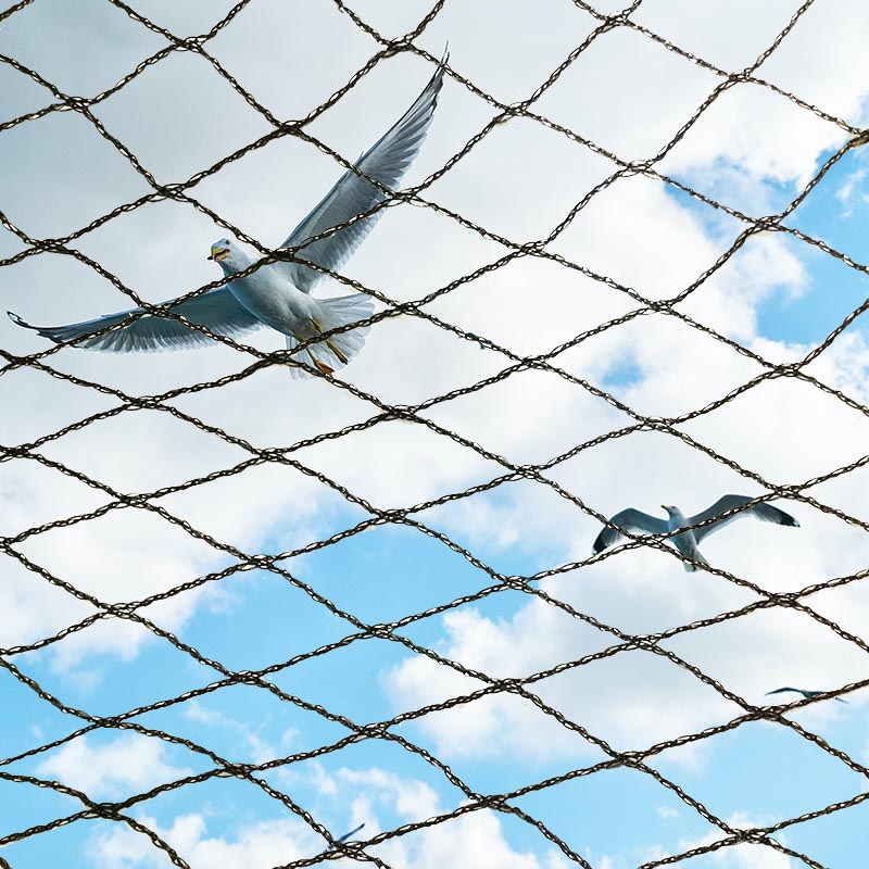 How to choose a good quality anti-bird net?