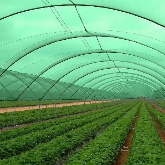 Application and advantages of shade net in agricultural industry