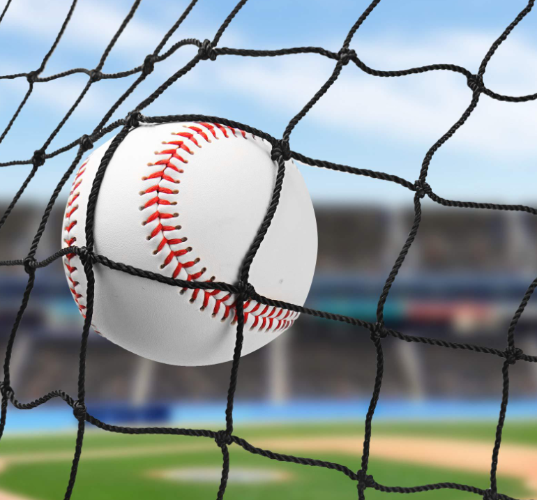 The role of the baseball cage net