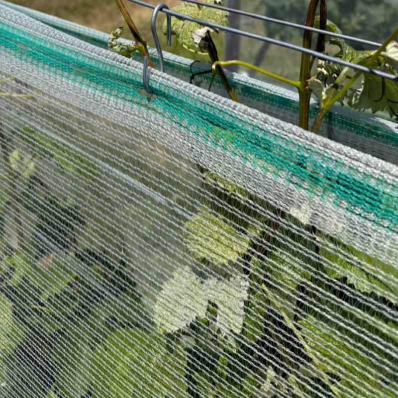 Agriculture HDPE Anti-Hail Netting Agriculture HDPE Anti-Hail Netting