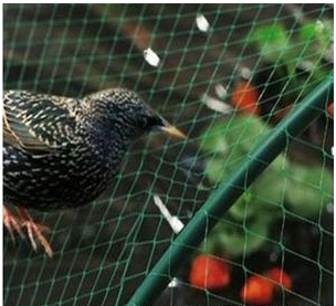 Anti Bird Net For Balcony