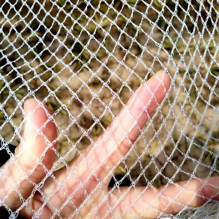 Anti-Hail Polyethylene Bird Protection Netting with Plastic Mesh Custom Cut for Agriculture Anti-Hail Polyethylene Bird Protection Netting with Plastic Mesh Custom Cut for Agriculture