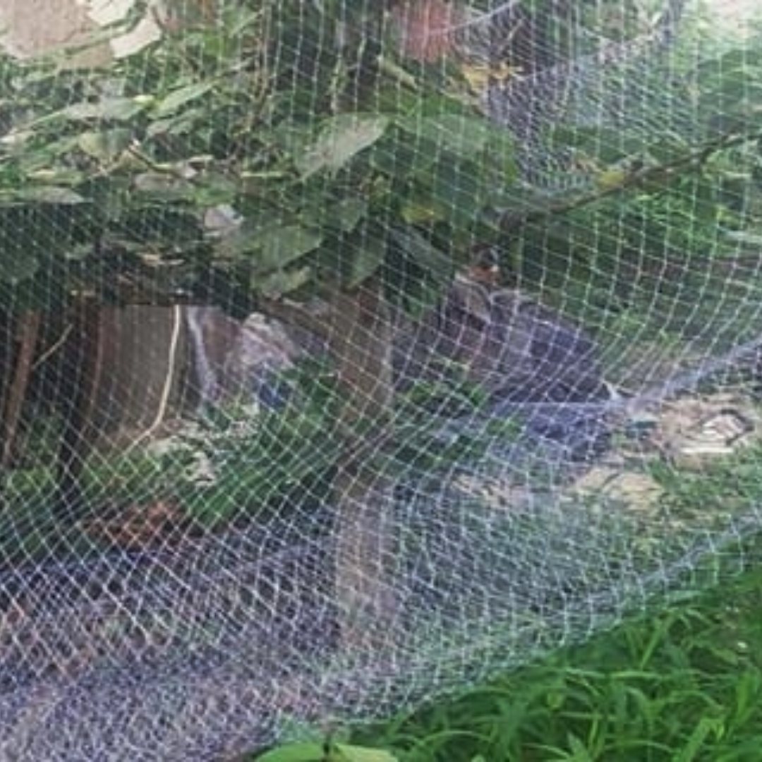 Bird Netting for Garden