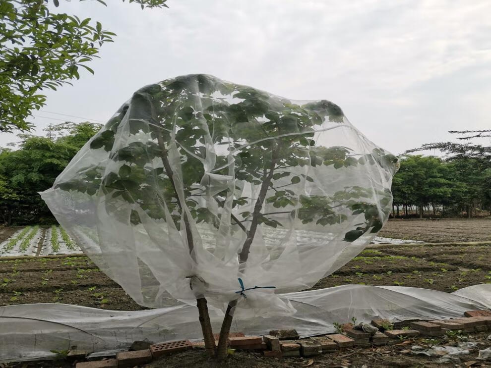 Citrus Insect Control Net