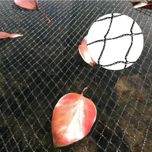 Fish Pond Bird Netting