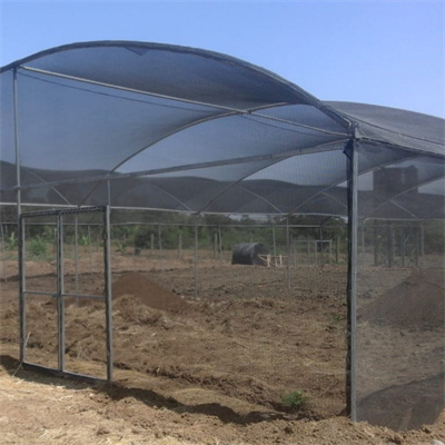 Wind Screen Shading Cloth Net for Crops